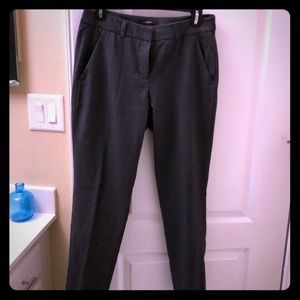 Dress pants
